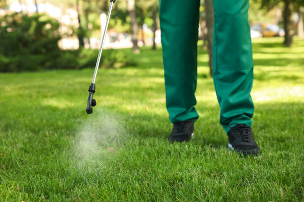 Best Pest Removal Services  in San Felipe, TX