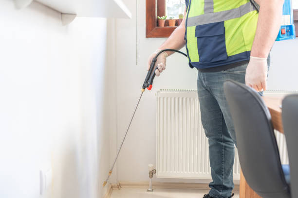 Best Emergency Pest Control  in San Felipe, TX