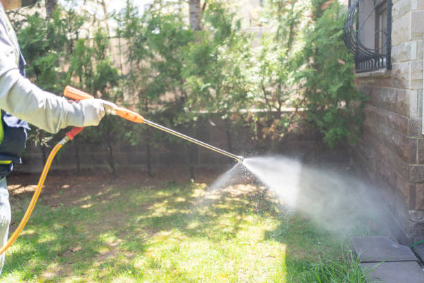 Best Best Pest Control Companies  in San Felipe, TX