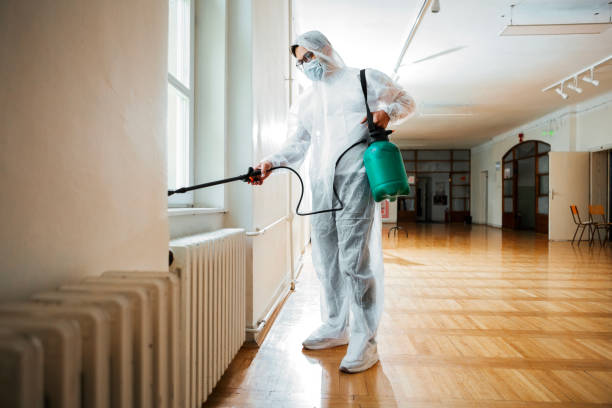 Best Pest Prevention Services  in San Felipe, TX